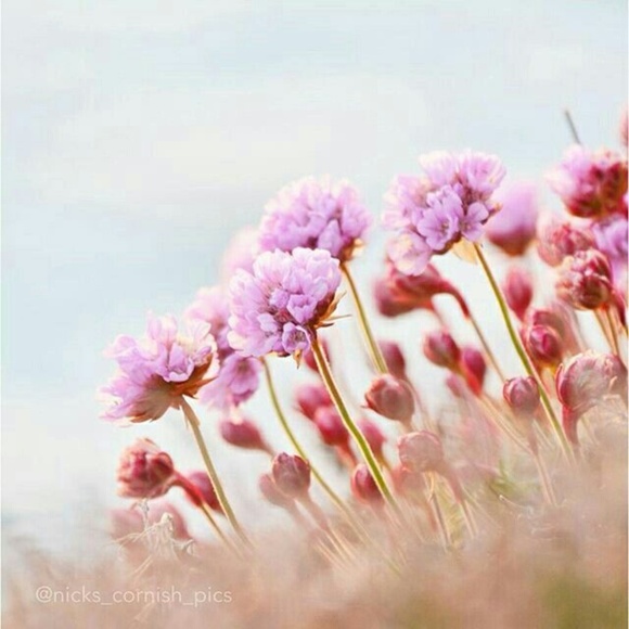 Meet your Posher, Lisa - Picture 7 of 8